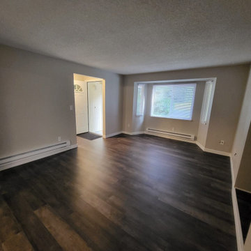 Olympia Duplex Remodel