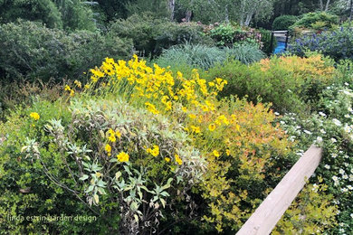 Photo of a large transitional hillside mulch landscaping in Los Angeles.