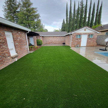 Arizona Platinum Olive