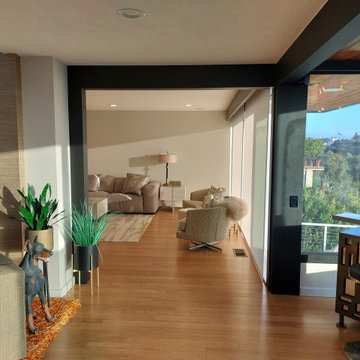 Mid-Century Modern Whole Home & Site Remodel in Newport Beach, CA
