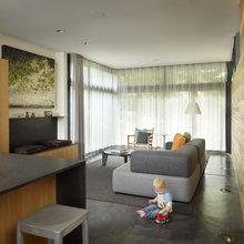 Livingroom curtains