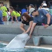 Caroline Nadeau's photo