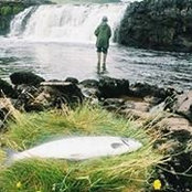 Pat O' Malley's photo