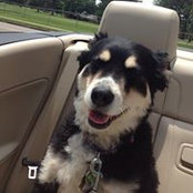 Gabrielle Rigney's photo