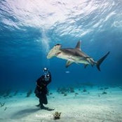 Brad Beadling's photo