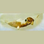 Rose Cesor's photo
