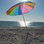 Tracy Fortman's photo