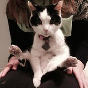 Kate Price's photo