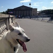Foto von Ephraim Ramallo