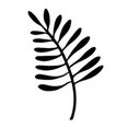 Natasha Denness's profile photo