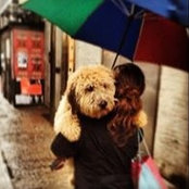 Francine Mannarino's photo
