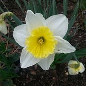 Jan Barnes Beck's photo