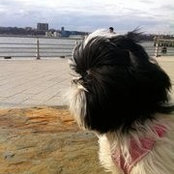 Hi There's photo