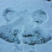 Foto von Lisa Todnem