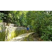 Andrea Barcia's photo