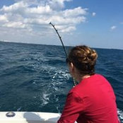 Fran Reilly's photo