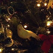 Jennifer Augustynski's photo
