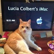 Lucia Colberts foto