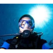 Felix L's photo