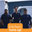 Kitchen Tune-Up San Antonio - Northwest