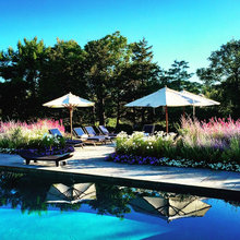 Commercial Landscape