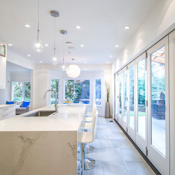 2017 Kitchen – over $100, 000 Winner - My House Design/Build Team Ltd.