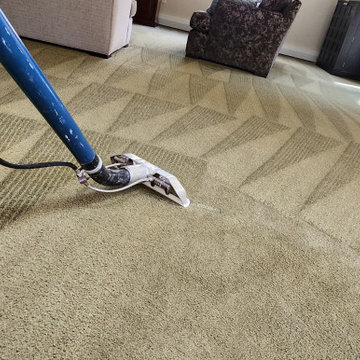 Carpet Cleaning