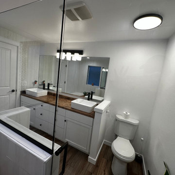 Master Bathroom Remodel