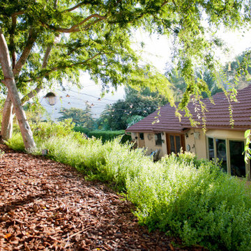Trees Shade and Protect the Home