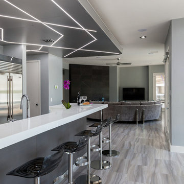 Contemporary Kitchen Renovation