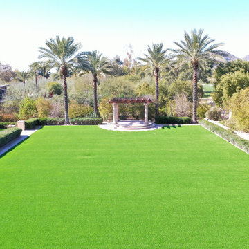 Paradise Hills Backyard Artificial Grass Installation