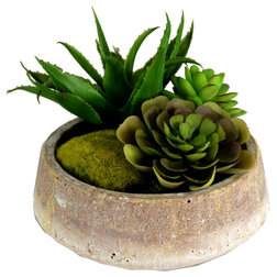 Rustic Artificial Plants And Trees by Botanical Home Collection