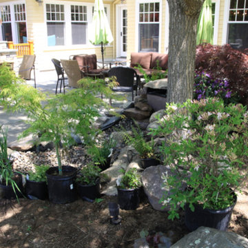 Pondless Waterfall - Landscape