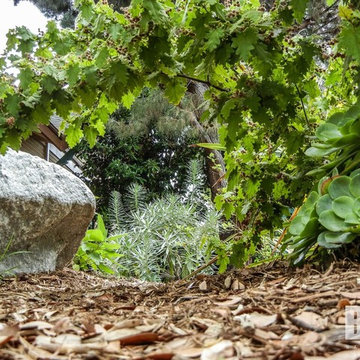 N Olive Ave Residence (Alhambra)
