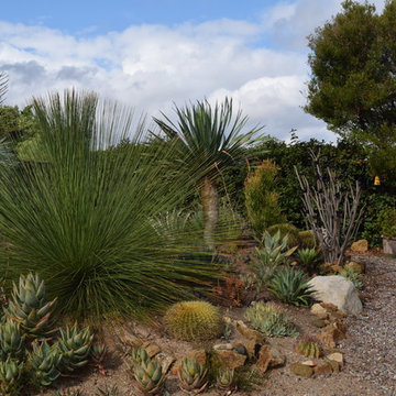 Escondido Backyard Retreat