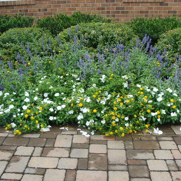 Landscape Management