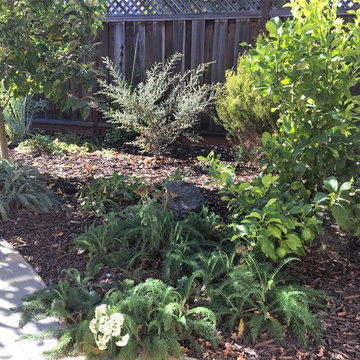 Backyard Garden Retreat