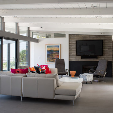 Midcentury Modern View Home Remodel
