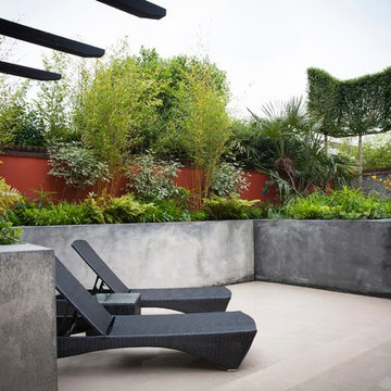 Contemporary Courtyard