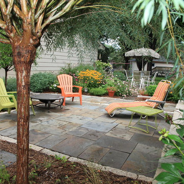Grass Free Backyard
