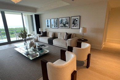 Living room - contemporary living room idea in Miami