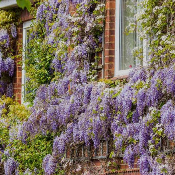 Landscaping Company in UAE