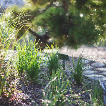 Terrasses aromatiques