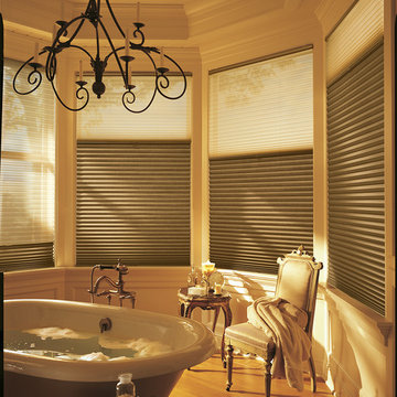 Hunter Douglas Duette® Honeycomb Shade
