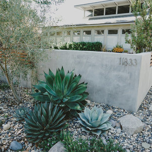 Foto de jardín de secano, moderno, grande, en patio delantero, con muro de contención, exposición reducida al sol y gravilla