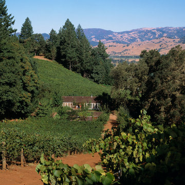 Knights Valley Residence