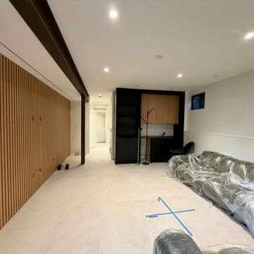 BASEMENT REMODEL - IN PROGRESS - EASTERLIN‘S RESIDENCE