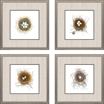 Bird Nest Artwork, 4-Piece Set