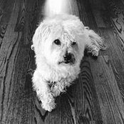Helene McCormick's photo