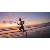 Niels Vuijsters's photo